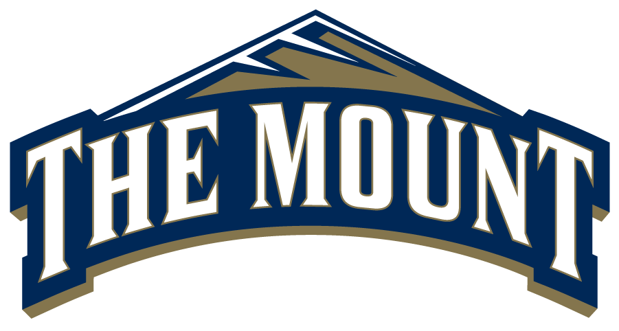 Mount St. Marys Mountaineers 2016-Pres Primary Logo iron on transfers for T-shirts